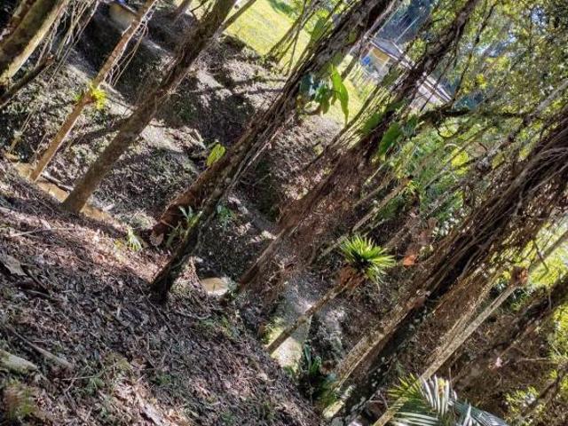 Sítio e chácara venda em Região Imediata de São Paulo, Região Metropolitana de São Paulo