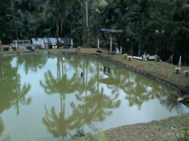 Sítio e chácara venda em Região Geográfica Imediata de Paranaguá, Morretes
