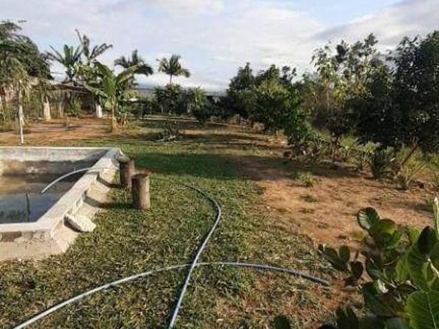 Sítio e chácara venda em Região Imediata de São Paulo, Região Metropolitana de São Paulo