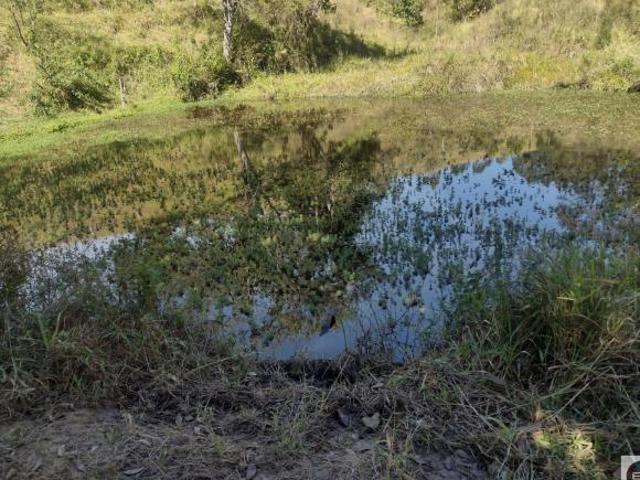 Sítio e chácara venda em Região Imediata de São José dos Campos, Região Metropolitana do Vale do Paraíba e Litoral Norte