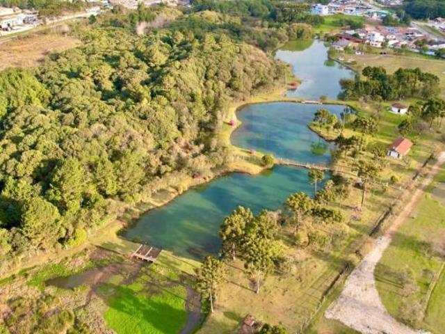 Sítio e chácara venda em Região Geográfica Imediata de Curitiba, Região Metropolitana de Curitiba