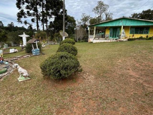 Sítio e chácara venda em Antônio Olinto, Região Geográfica Intermediária de Curitiba