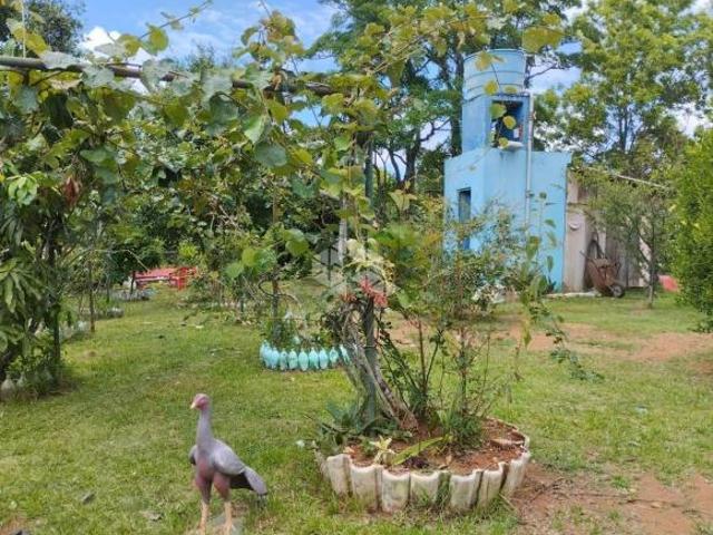 Sítio e chácara venda em Novo Hamburgo