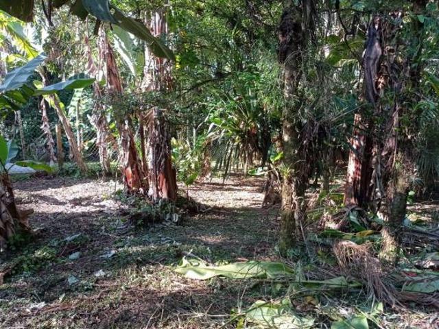 Sítio e chácara venda em Região Geográfica Imediata de Paranaguá, Morretes