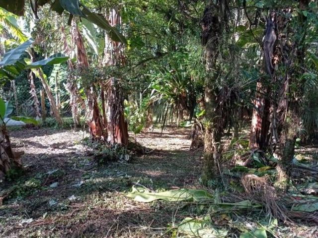 Sítio e chácara venda em Região Geográfica Imediata de Paranaguá, Morretes