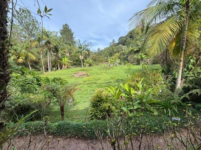 Sítio e chácara venda em Juquitiba, São Paulo