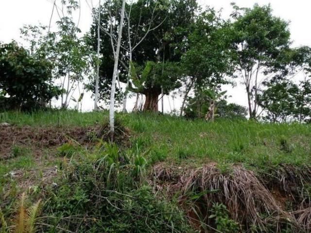 Sítio e chácara venda em Região Imediata de Santos, Itariri