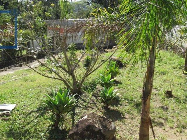 Sítio e chácara venda em Loteamento Reneville, Mairinque
