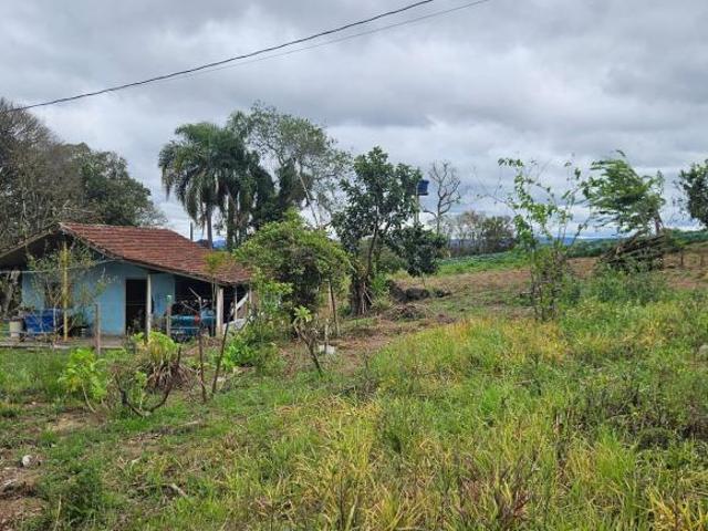 Sítio e chácara venda em Região Geográfica Imediata de Curitiba, Região Metropolitana de Curitiba