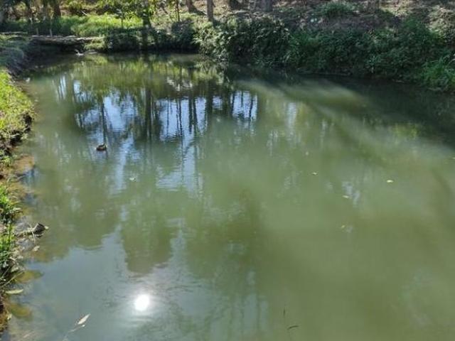 Sítio e chácara venda em Região Imediata de São Paulo, Região Metropolitana de São Paulo
