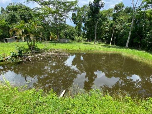 Sítio e chácara venda em Região Imediata de Santos, Região Metropolitana da Baixada Santista