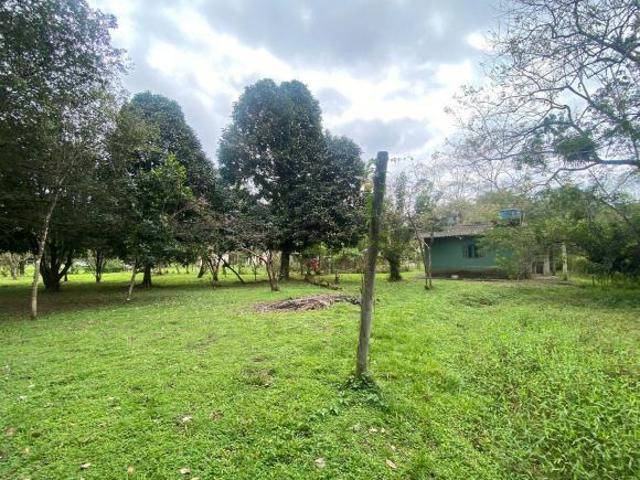 Sítio e chácara venda em Região Imediata de Santos, Região Metropolitana da Baixada Santista