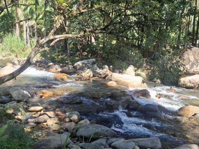 Sítio e chácara venda em Região Geográfica Imediata de Paranaguá, Morretes