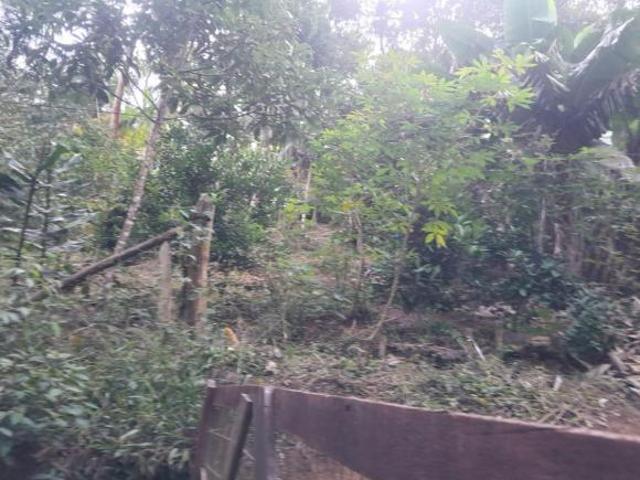 Sítio e chácara venda em Região Imediata de São Paulo, Região Metropolitana de São Paulo