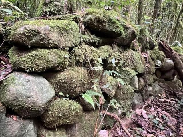 Sítio e chácara venda em Região Geográfica Imediata de Taquara - Parobé - Igrejinha, Região Metropolitana de Porto Alegre