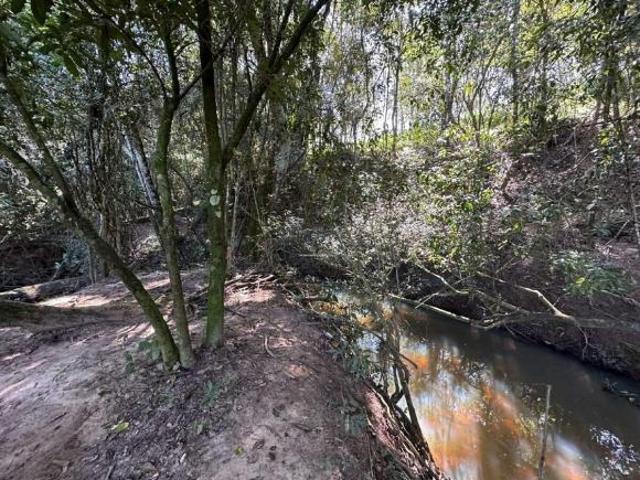 Sítio e chácara venda em Região Geográfica Imediata de Divinópolis, Itaúna