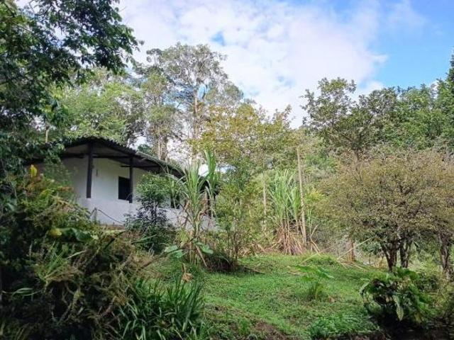 Sítio e chácara venda em Região Imediata de São Paulo, Região Metropolitana de São Paulo