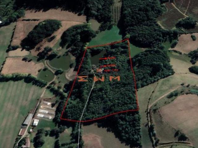 Sítio e chácara venda em Região Geográfica Imediata de Caxias do Sul, Farroupilha