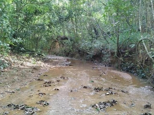 Sítio e chácara venda em Paranoá, Região Geográfica Intermediária do Distrito Federal