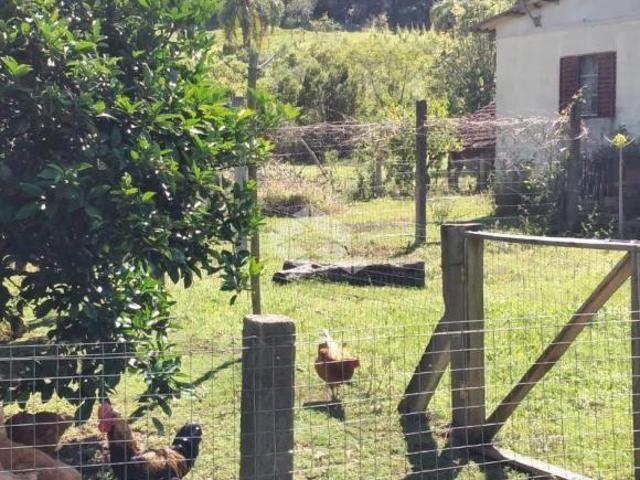 Sítio e chácara venda em Região Geográfica Imediata de Caxias do Sul, Picada Café