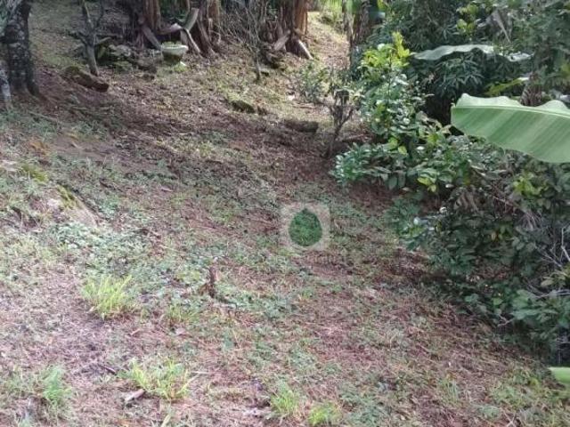Sítio e chácara venda em Região Imediata de Taubaté-Pindamonhangaba, Região Metropolitana do Vale do Paraíba e Litoral Norte