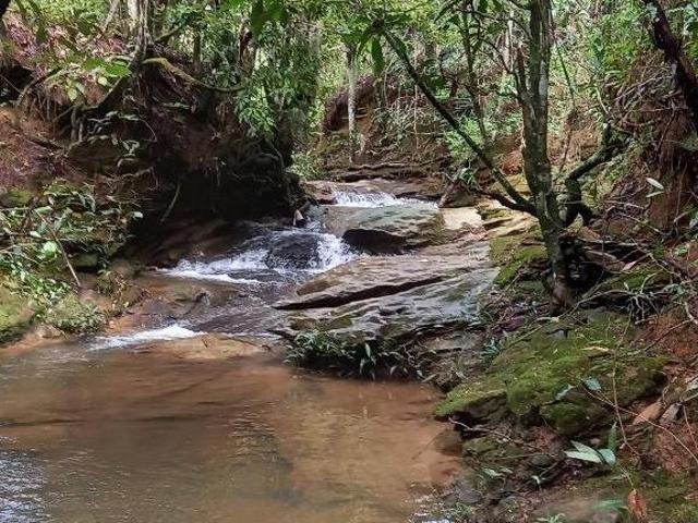 Sítio e chácara venda em Região Geográfica Imediata de Águas Lindas de Goiás, Região Integrada de Desenvolvimento do Distrito Federal e Entorno