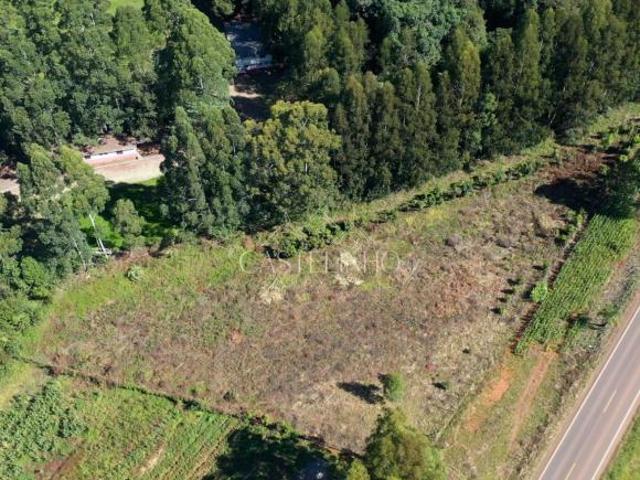 Sítio e chácara venda em Região Geográfica Imediata de Erechim, Barão de Cotegipe