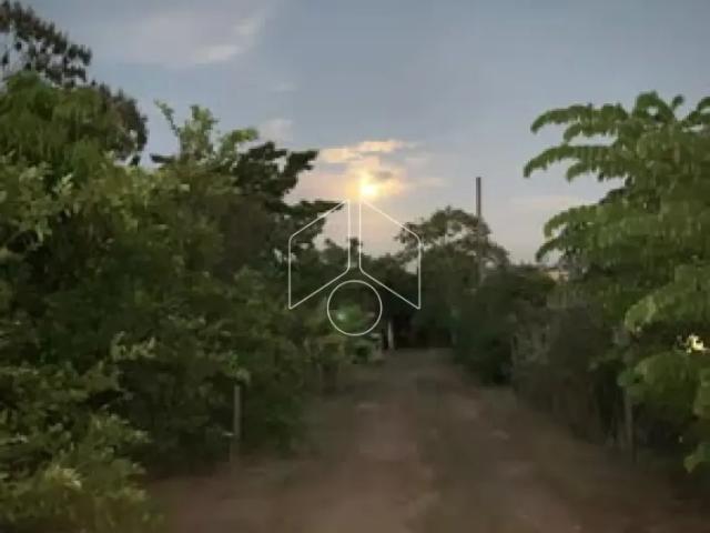 Fazenda aluguel em Região Imediata de Marília, Marília