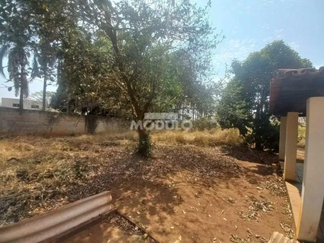Fazenda aluguel em Região Geográfica Imediata de Uberlândia, Oliveira Fortes