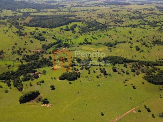 Sítio e chácara venda em Região Geográfica Imediata de São Luís de Montes Belos, Sanclerlândia