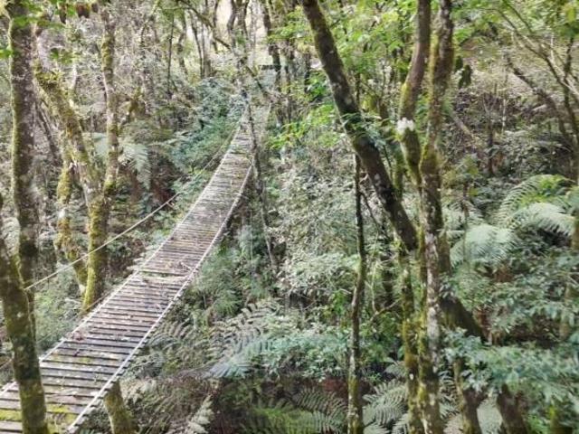 Sítio e chácara venda em Região Geográfica Imediata de Curitiba, Região Metropolitana de Curitiba