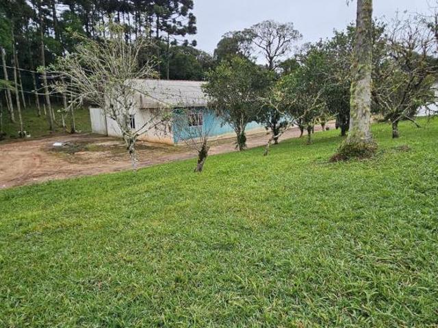 Sítio e chácara venda em Região Geográfica Imediata de Curitiba, Região Metropolitana de Curitiba