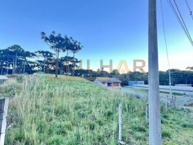 Sítio e chácara venda em Região Geográfica Imediata de Caxias do Sul, São Francisco de Paula