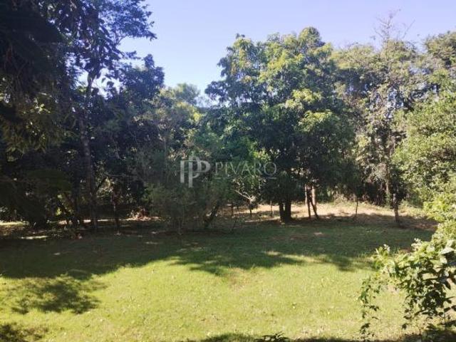 Sítio e chácara venda em Região Geográfica Imediata de Londrina, Ibiporã