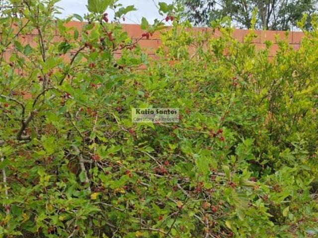 Sítio e chácara venda em Vila Joaquim Inácio, Campinas