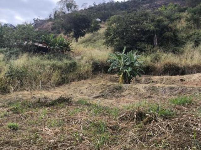 Sítio e chácara venda em Região Geográfica Imediata de Caratinga, Caratinga