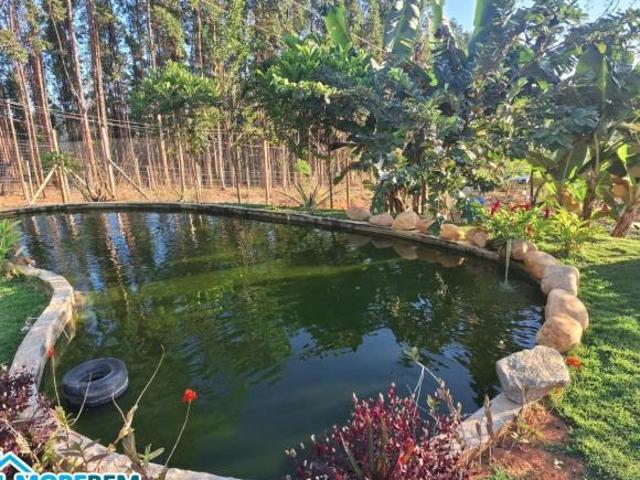 Sítio e chácara venda em Região Geográfica Imediata de Ipatinga, Ipaba