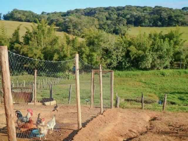 Sítio e chácara venda em Região Geográfica Imediata de Alfenas, Alterosa