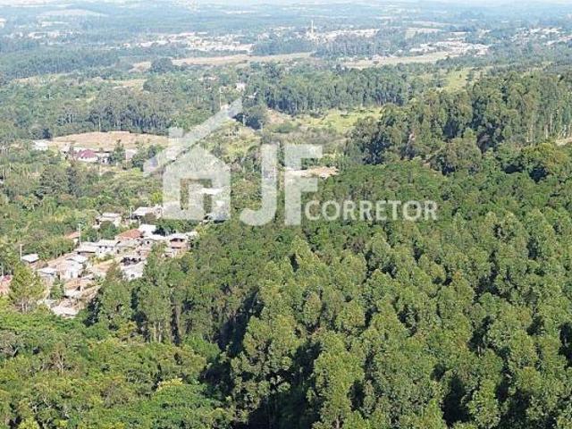 Sítio e chácara venda em Região Geográfica Imediata de Novo Hamburgo - São Leopoldo, Região Metropolitana de Porto Alegre