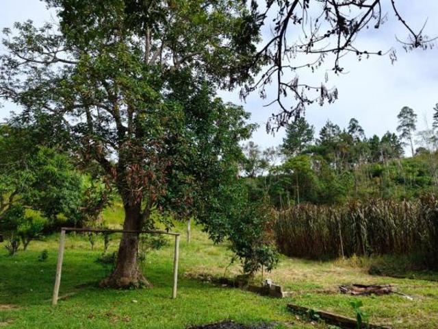 Sítio e chácara venda em Região Imediata de São Paulo, Região Metropolitana de São Paulo