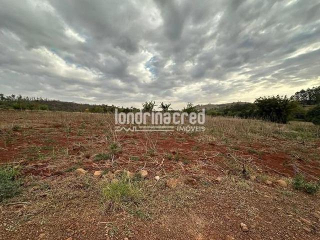 Terreno venda em Região Geográfica Imediata de Londrina, Londrina