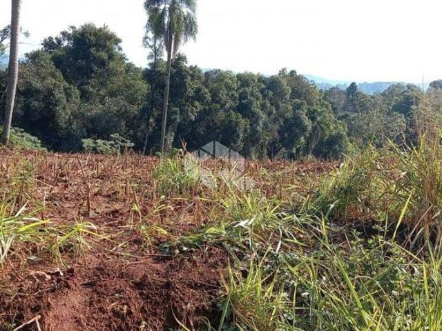 Sítio e chácara venda em Região Geográfica Imediata de Novo Hamburgo - São Leopoldo, Lindolfo Collor