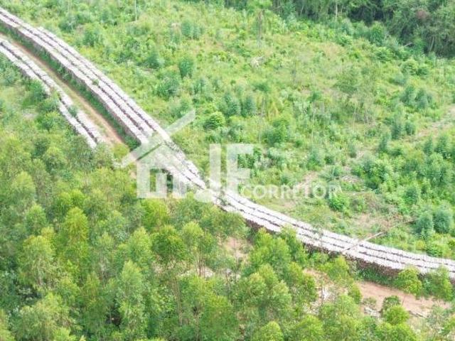 Sítio e chácara venda em Região Geográfica Imediata de Novo Hamburgo - São Leopoldo, Região Metropolitana de Porto Alegre