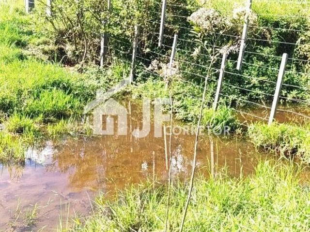 Sítio e chácara venda em Região Geográfica Imediata de Novo Hamburgo - São Leopoldo, Região Metropolitana de Porto Alegre