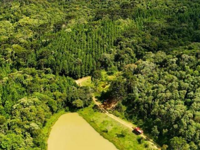 Sítio e chácara venda em Região Geográfica Imediata de Curitiba, Região Metropolitana de Curitiba