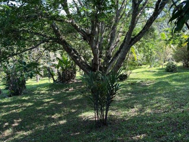 Sítio e chácara venda em Região Imediata de São Paulo, Região Metropolitana de São Paulo