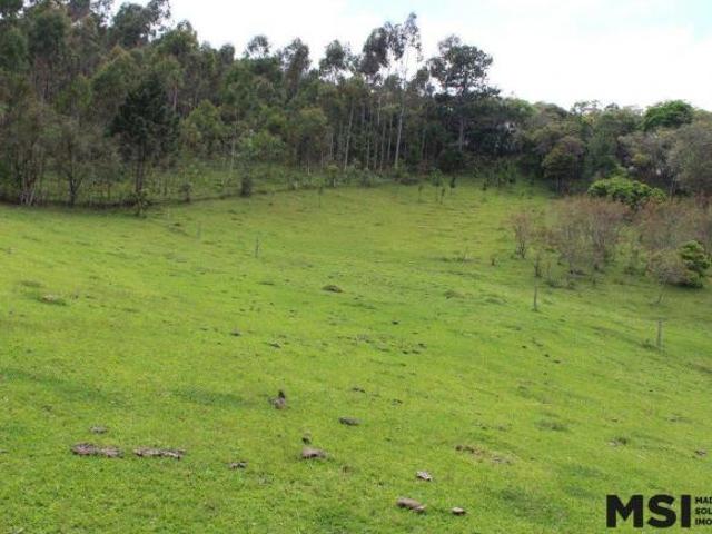 Sítio e chácara venda em Região Geográfica Imediata de Curitiba, Região Metropolitana de Curitiba