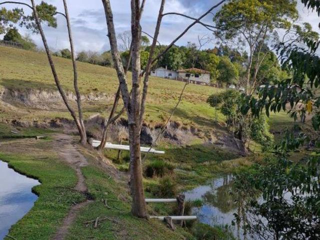 Sítio e chácara venda em Região Geográfica Imediata de Curitiba, Região Metropolitana de Curitiba