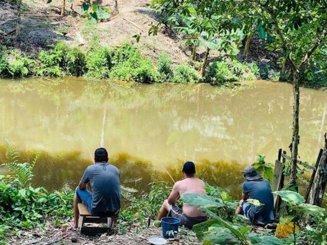 Sítio e chácara venda em Região Imediata de Registro, Juquia