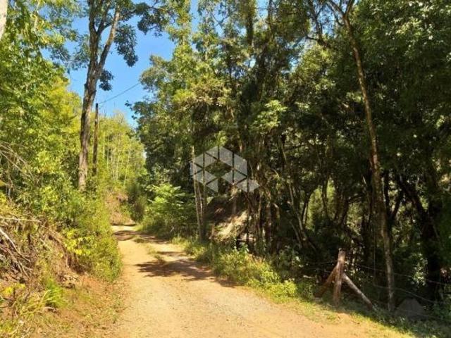 Sítio e chácara venda em Região Geográfica Imediata de Caxias do Sul, Nova Petrópolis